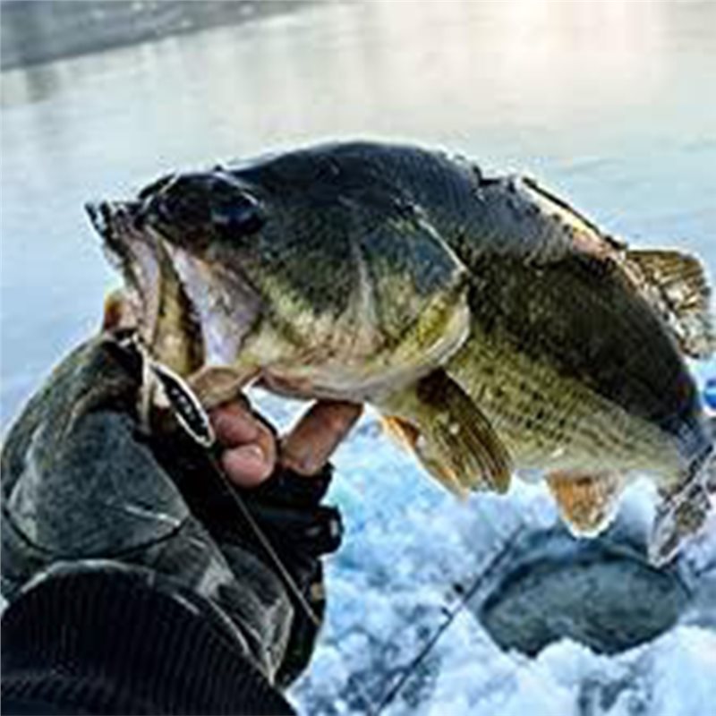 Fish Finder Kayak Portable - ABLB-เครื่องตรวจจับปลาสำหรับเรือคายัค ทรานสดิวเซอร์แบบพกพา เครื่องวัดความลึกของปลา โซนาร์แบบมือถือ หน้าจอ LCD